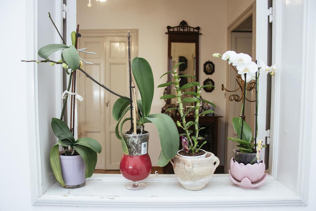 Risveglio Ibleo Bed & Breakfast Ragusa Ngoại thất bức ảnh